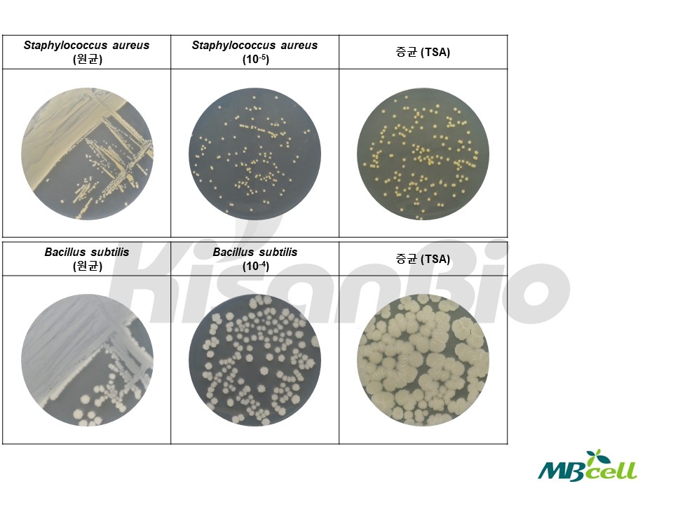 자료실-[QC 자료] PCA (Plate Count Agar) MB-P1040