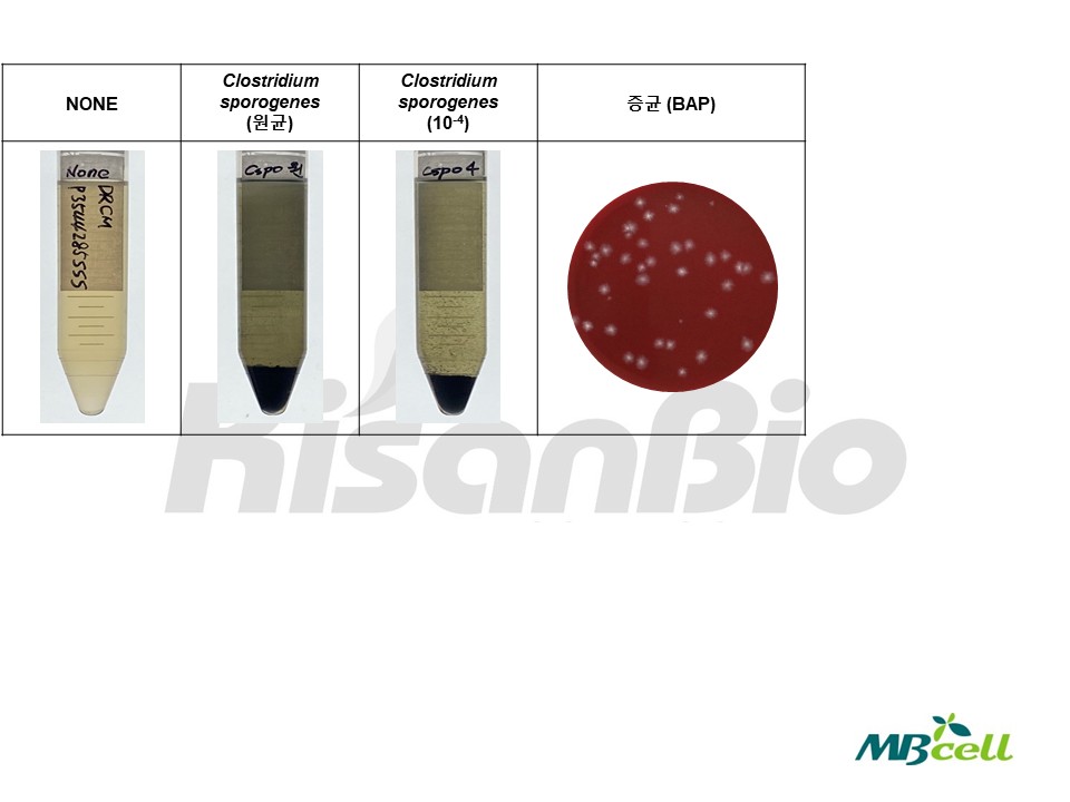 자료실-[QC 자료] DRCM (Differential Reinforced Clostridial Broth) MB-D2234