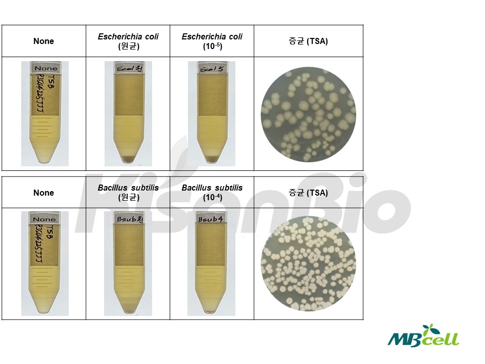자료실-[QC 자료] TSB (Tryptic Soy Broth) MB-T1053