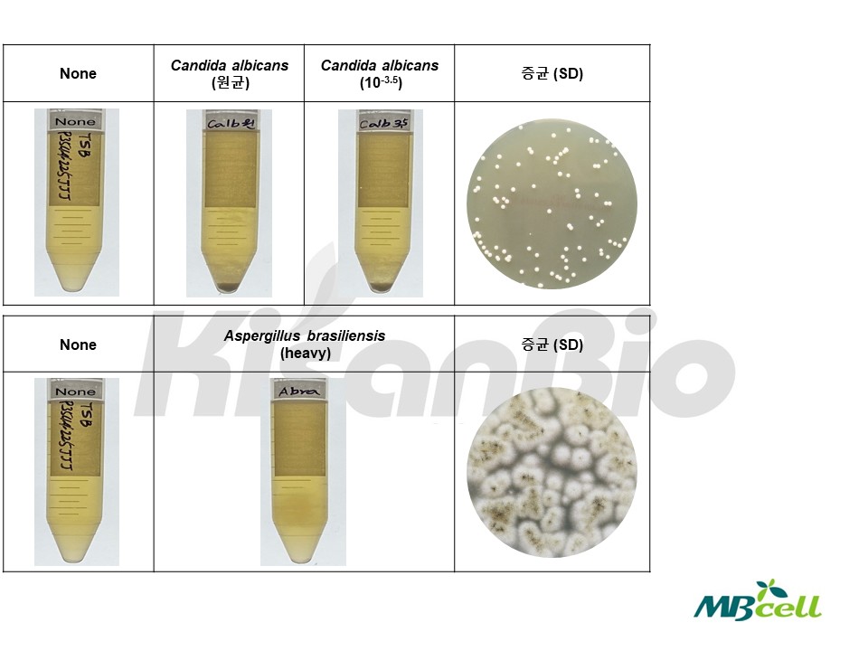 자료실-[QC 자료] TSB (Tryptic Soy Broth) MB-T1053