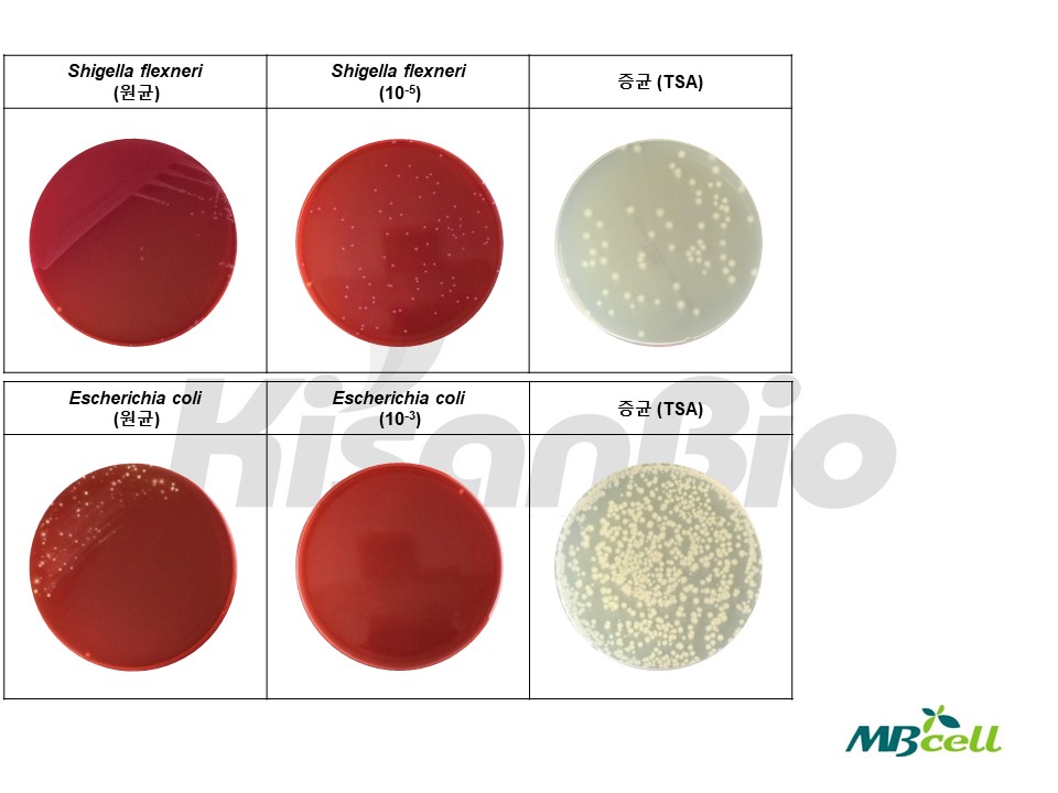 자료실-[QC 자료] XLD (Xylose Lysine Desoxycholate) Agar MB-X1060