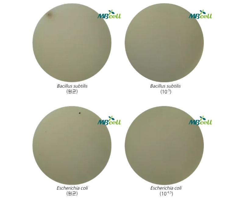 [Baird Parker Agar (식품공전 60,64번 배지, 일반 규격과 동일)]