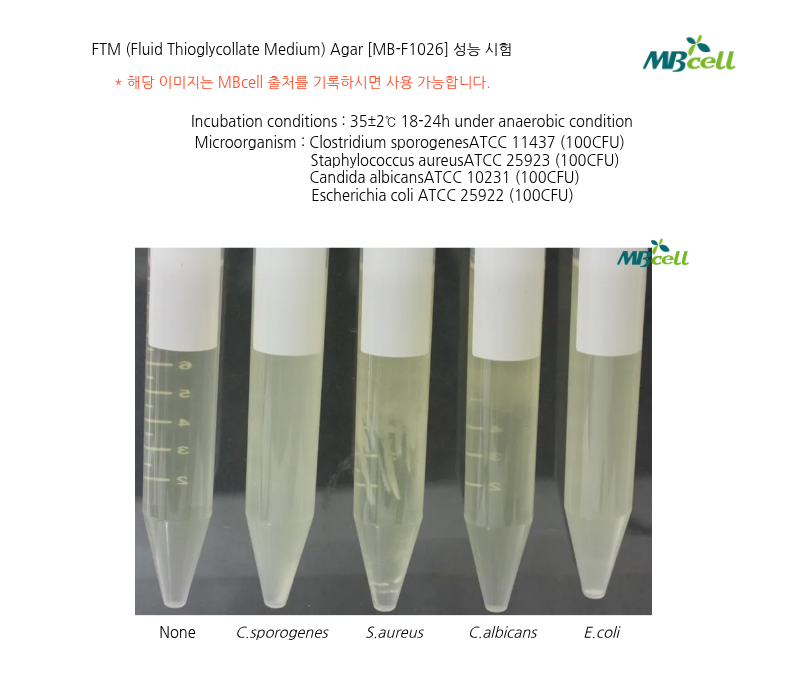 [FTM (Fluid Thioglycollate Medium) (식품공전 13번배지)]
