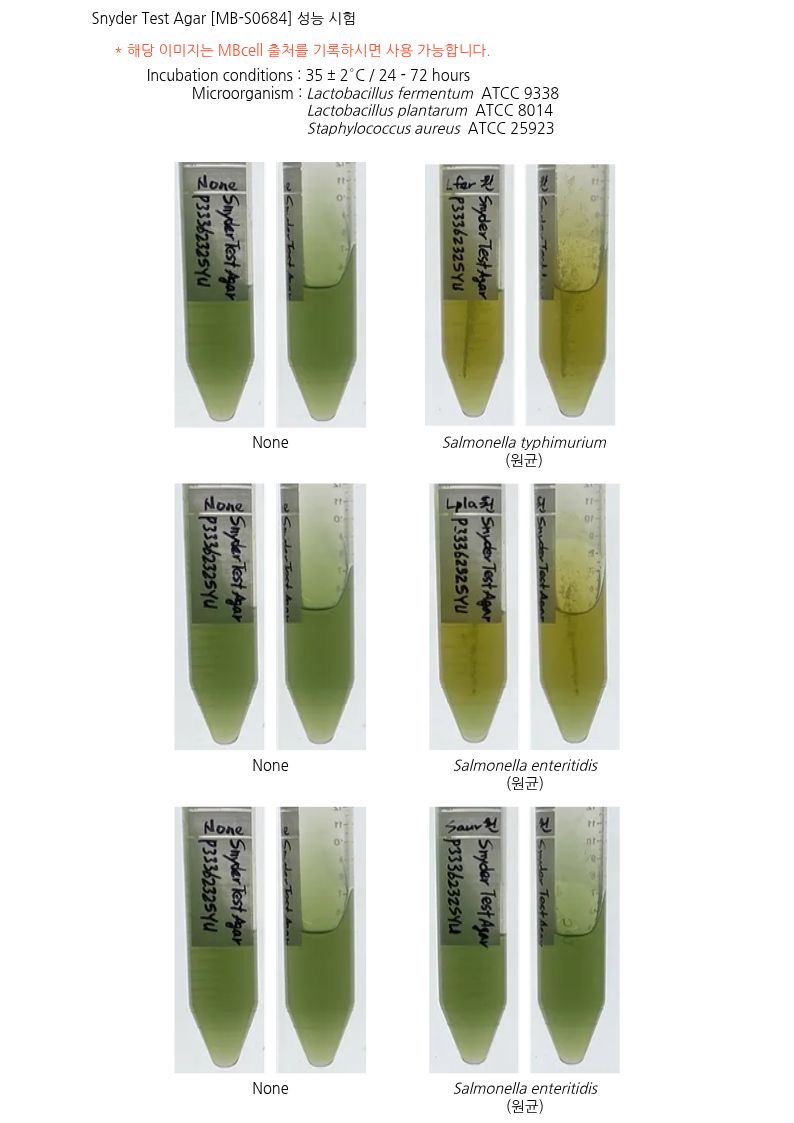 [Snyder Test Agar]