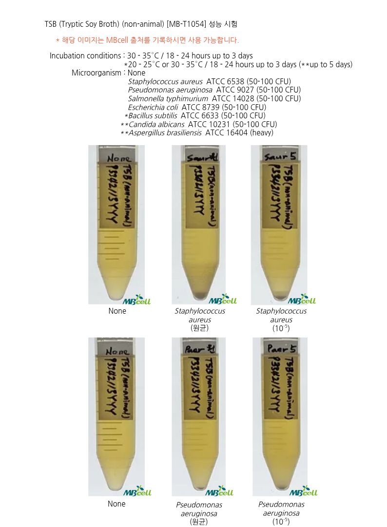 [TSB (Tryptic Soy Broth) (non-animal)]
