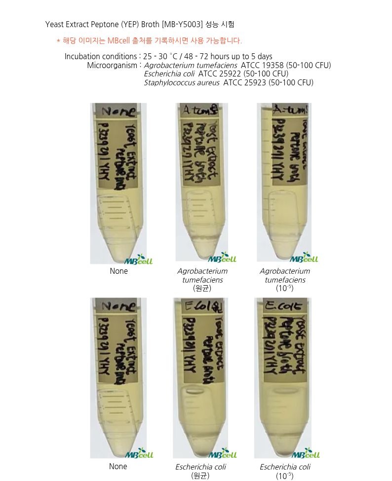 [Yeast Extract Peptone (YEP) Broth]